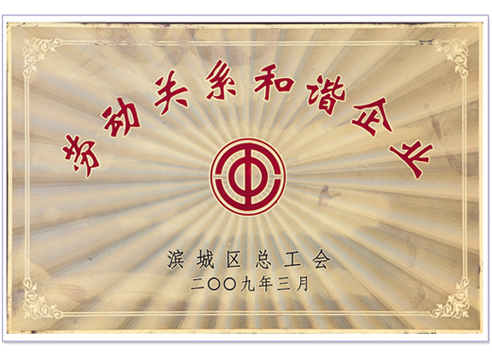 榮譽(yù)證書(shū)